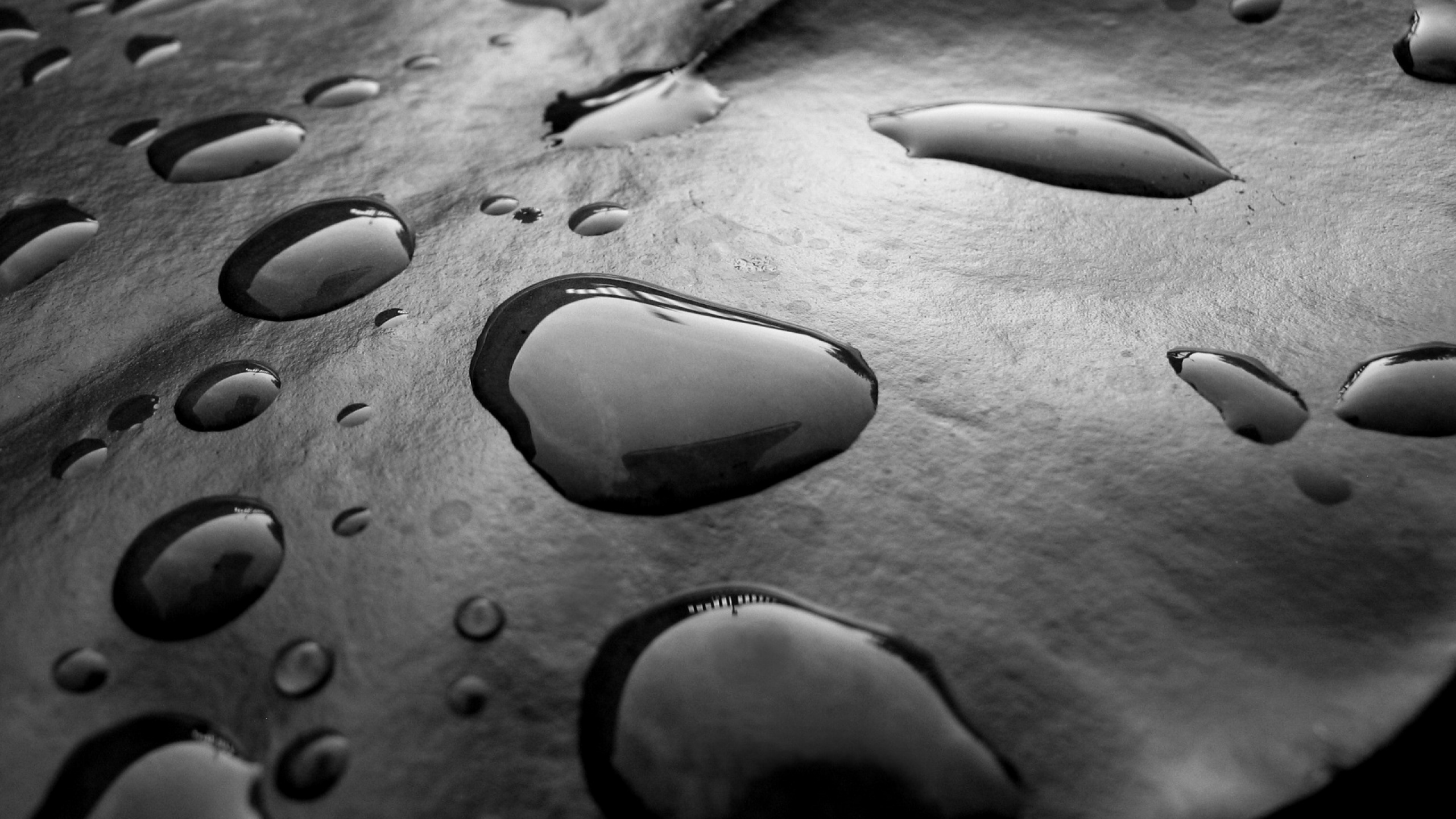 Slide One Image ALT Text